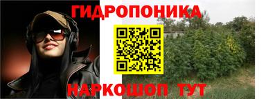 дурь Гусев