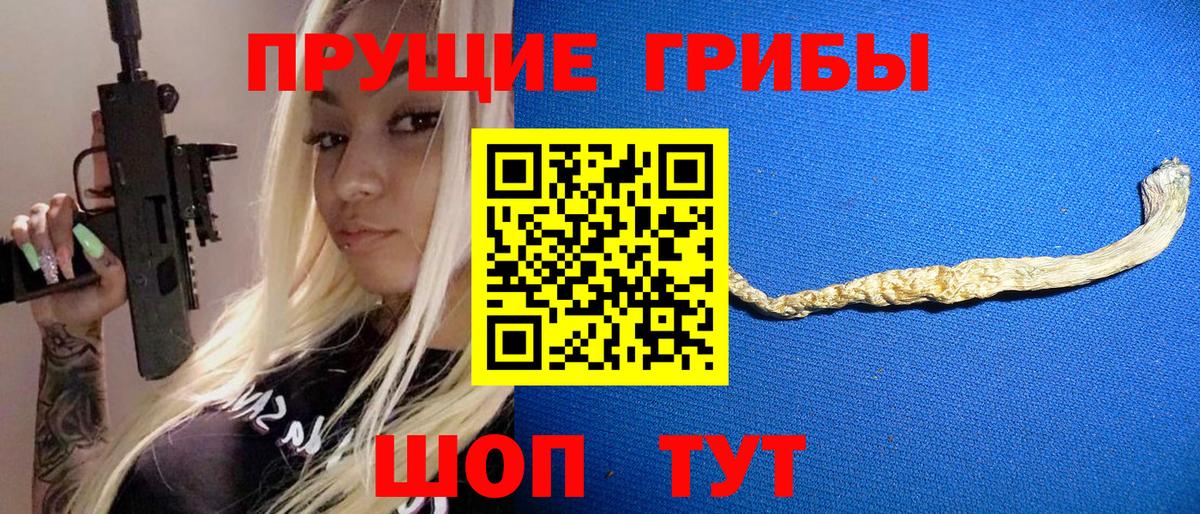 Оренбург  Псилоцибиновые грибы Psilocybe  Вход с VPN 