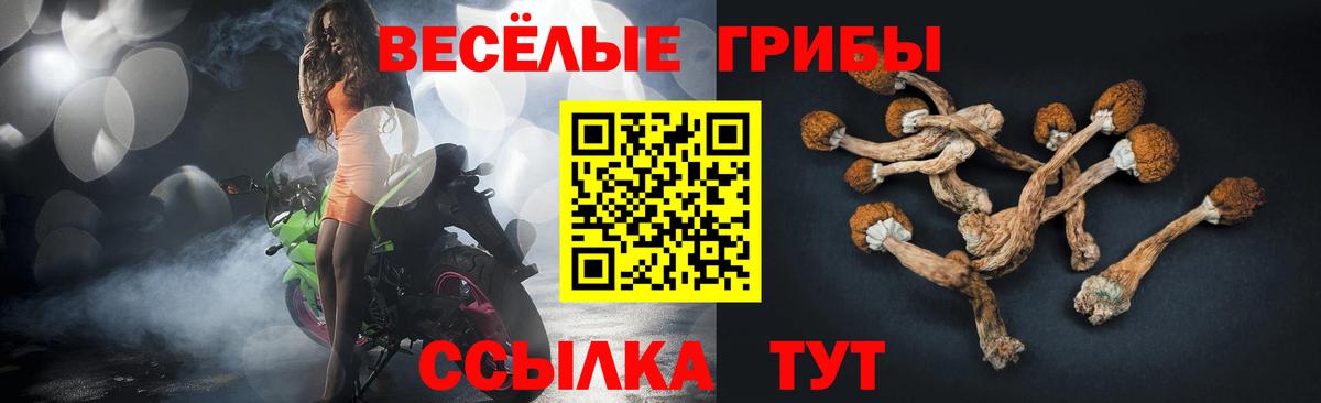 Псилоцибиновые грибы MAGIC MUSHROOMS Оренбург
